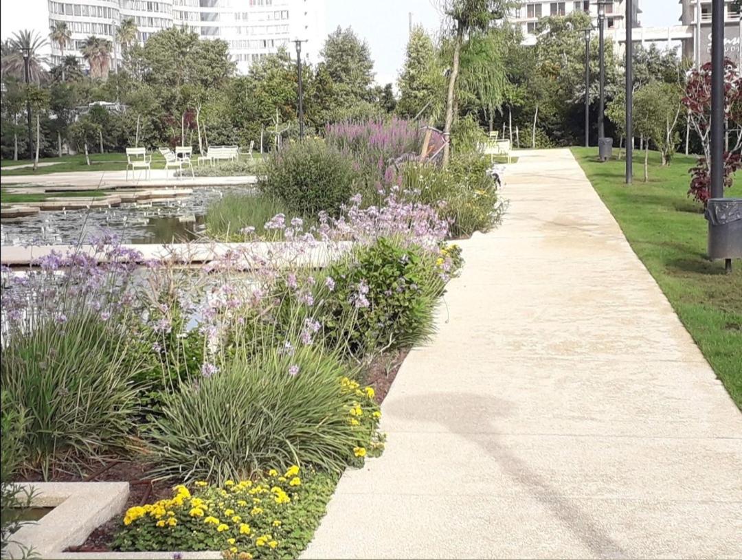 Bat Yam Luxery 5Br Sea View Suite Luaran gambar